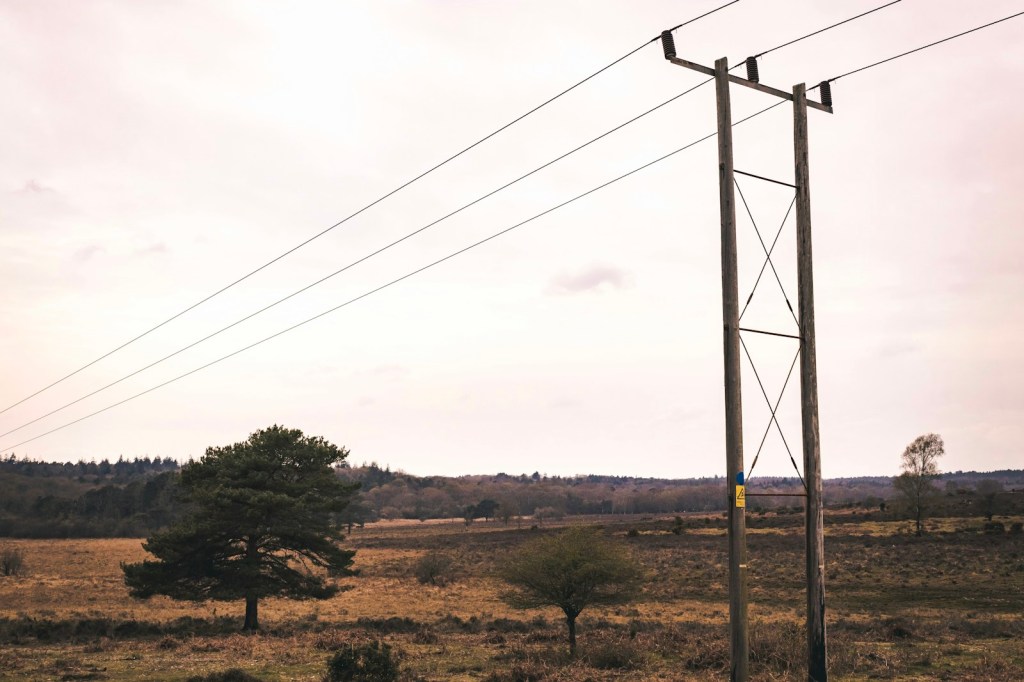 Electricity pylons and power lines running across open land beside a forest